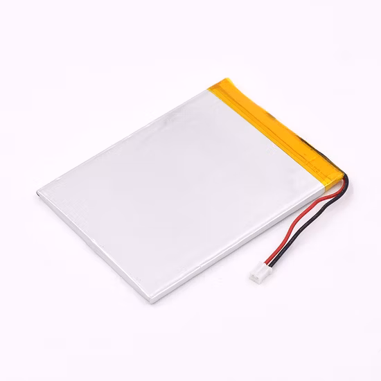 Lithium Polymer Battery 3.7V with 4000mAh for Digital Camera