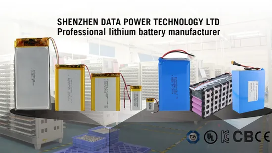 Lithium Polymer Battery 3.7V with 4000mAh for Digital Camera