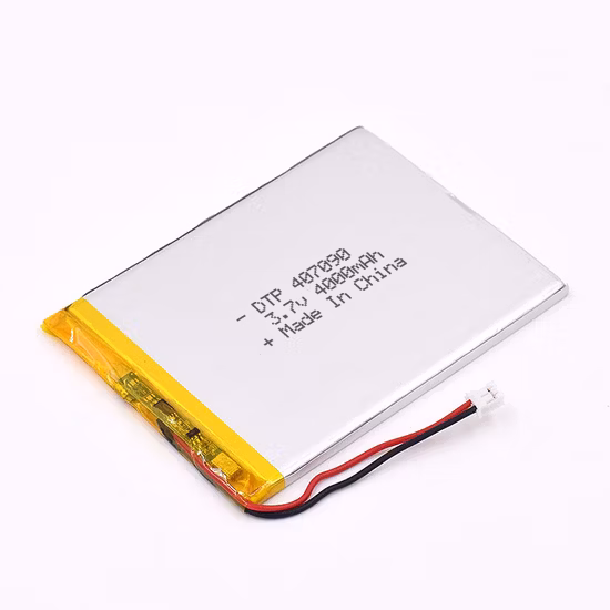 Lithium Polymer Battery 3.7V with 4000mAh for Digital Camera
